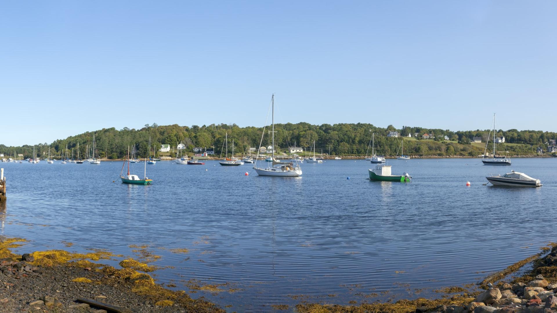 Sailboats on a calm blue lake surrounded by trees under a clear sky.