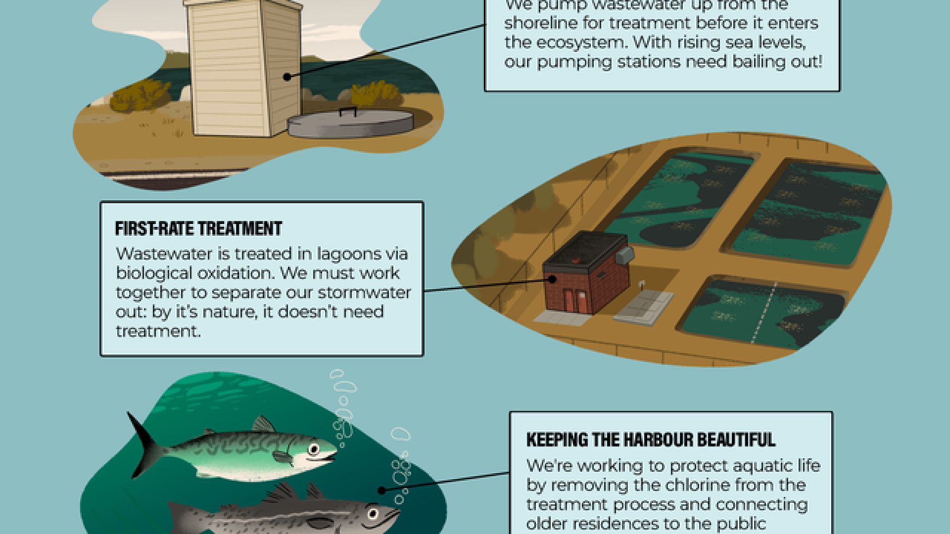 Image of poster with the words Protecting our Bay with wastewater treatment! Click to be taken to a pdf version of the poster.