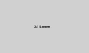 A 3:1 sized placeholder graphic